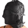 Strict Leather Asylum Leather Hood with Removable Blindfold and Muzzle - Image 2