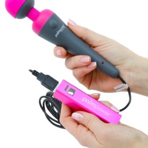 PalmPower Plug & Play Massager Wand