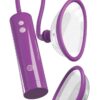 Pipedream Fantasy For Her Rechargeable Pump Kit - Image 2