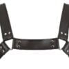 Zado Harness (torso) - Image 2