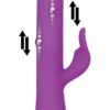 Evolved Dancing Pearl Rabbit Purple - Image 2