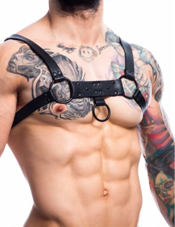 H4RNESS by C4M Party Black Harness