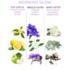 Eye Of Love Pheromone Parfum for Her Morning Glow 50ml - Image 2
