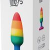 Dream Toys Rainbow Anal Plug - Image 2