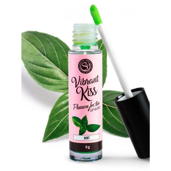Secret Play Vibrant Kiss Lip Gloss Mint 6 g EXPIRACE 7/25 - 70% SLEVA